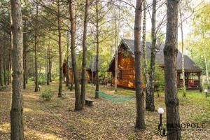 a log cabin with a hammock in the woods at Siedlisko Janopole in Janopole