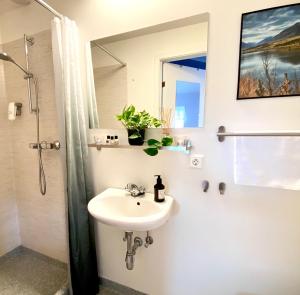 un bagno con lavandino, doccia e specchio di Lamb Inn Öngulsstadir ad Akureyri