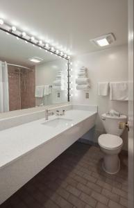 a bathroom with a toilet and a large mirror at The Business Inn in Ottawa +37 photos