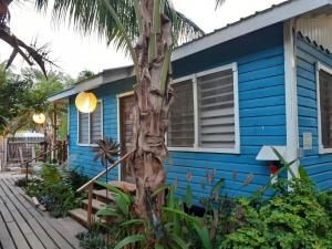 a blue house with a palm tree in front of it at The Funky Dodo Backpackers Hostel in Hopkins