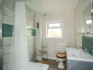 a bathroom with a toilet and a sink and a shower at Fell Foot in Holmrook +28 photos