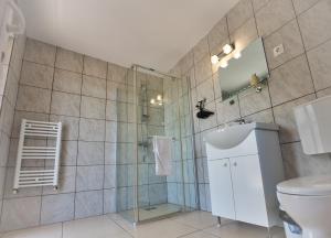 a bathroom with a shower and a sink and a toilet at Vila Victoria in Râmnicu Vâlcea +77 photos