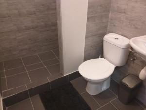 a bathroom with a toilet and a sink at Infinity in Třebíč