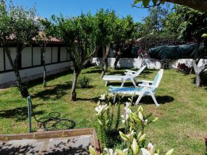 two chairs and a table in a yard with trees at CASA RURAL LIMÓN Y SOL in Sauzal