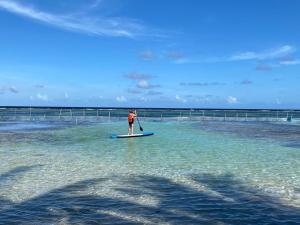 a person standing on a paddle board in the water at Hotel Blue Reef frente al mar in Mahahual