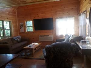 a living room with couches and a flat screen tv at The Genoa - An Amish Built Deluxe Cabin in Genoa