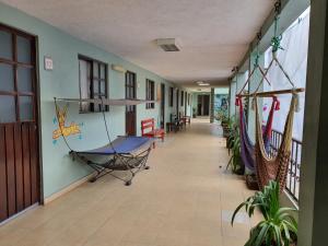 Galeriebild der Unterkunft Hierba De Conejo Hostel in Oaxaca de Juárez