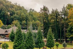 un grupo de árboles en un parque junto a un bosque en Brookside Lodge, en Gatlinburg