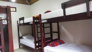 Palanda nebo palandy na pokoji v ubytování Esperanto Bed & Breakfast Surf Hostel