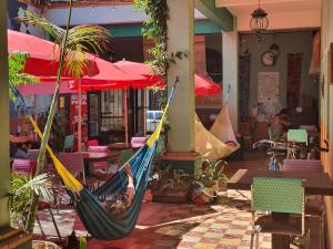 eine Person, die in einer Hängematte in einem Restaurant schläft in der Unterkunft Hierba De Conejo Hostel in Oaxaca de Juárez