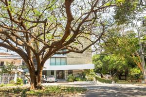 a large tree in front of a building at Luxurious stay at modern apartment (Equipetrol) in Santa Cruz de la Sierra