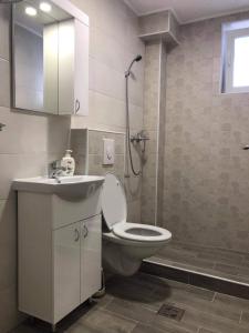 a bathroom with a toilet and a sink and a shower at Apartman MONA Bijeljina in Bijeljina +7 photos
