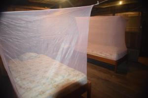 a pair of twin beds in a room at Lodge Jungle Wolf Expeditions in Yucuruche