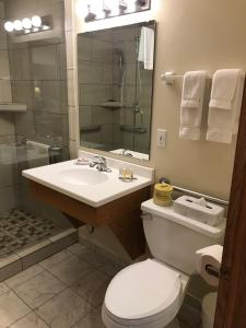 a bathroom with a toilet and a sink and a shower at Bay Breeze Resort in Ephraim