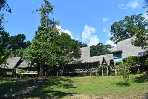 an old house with a thatched roof at Lodge Jungle Wolf Expeditions in Yucuruche