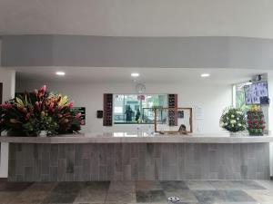 Vstupní hala nebo recepce v ubytování Hotel Las Vias
