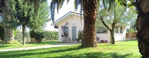 a white house with a palm tree in the yard at Soffio di Maestrale in Ortona