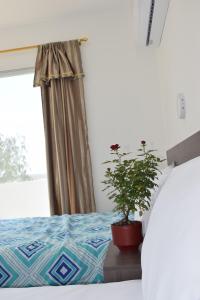 En eller flere senger på et rom på Mare S&M Casa Hostal