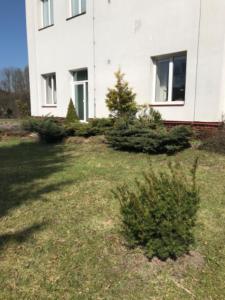 Zahrada ubytování Apartmán Velké Karlovice