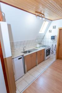 una cucina con lavandino e piano cottura di Horsky dom a Levoča