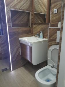 a bathroom with a sink and a toilet at studio skadarlija in Belgrade