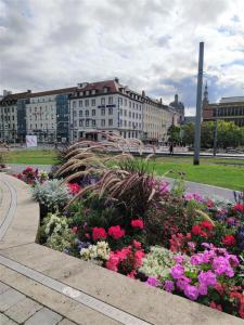 a bunch of flowers in a park with buildings at Hotel Regina in Würzburg