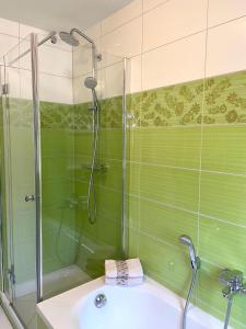 a bathroom with a shower and a sink at Ferienwohnung Kuhn in Ettenheim