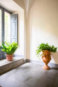 Aed väljaspool majutusasutust B&B Attico Taranto