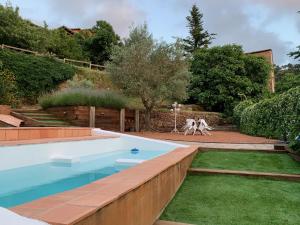 een zwembad in een tuin met een hond in de tuin bij Cal Secretari in Rellinars