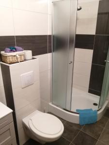 uma casa de banho com um WC e uma cabina de duche em vidro. em Apartmanház Mohács em Mohács