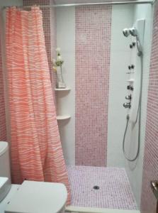 y baño con cortina de ducha y aseo. en Pensión Les Eres, en Puebla de Vallbona