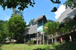 a house with a thatched roof and trees at Lodge Jungle Wolf Expeditions in Yucuruche