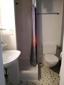 een badkamer met een toilet en een wastafel bij Hotel du Stand in Martigny-Ville