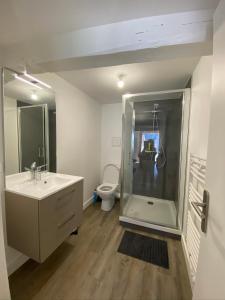 uma casa de banho com um chuveiro, um lavatório e um WC. em Maison des Alpes accès station Les 2 Alpes 1h Grenoble em Vénosc