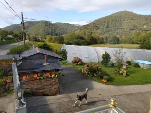 a dog standing in a yard next to a house at Apartamentos Casa Alvarina - Luarca in Cortina +33 photos