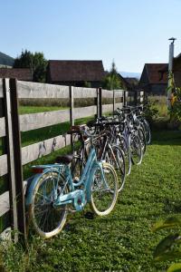 Cykling ved Country Garden - Országkert eller i nærheden