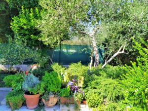 Fotografie z fotogalerie ubytování Dadić Apartments v destinaci Bibinje