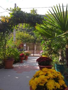 a garden with potted plants and flowers on a patio at Pension Eden in Băile Herculane
