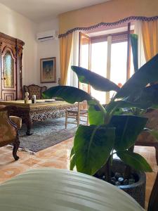 un soggiorno con una grande pianta in primo piano di Le Fresie B&B a SantʼAntìoco