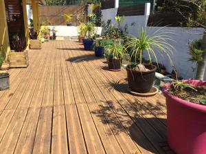 a row of potted plants on a wooden deck at LÉ FÈ COCO in Saint-Paul