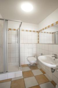 a bathroom with a sink and a shower and a toilet at Haus Ambros in Bettingen
