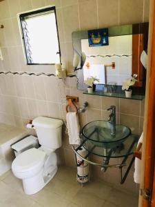 a bathroom with a toilet and a glass sink at Hotel Playazul in Santa Cruz de Barahona