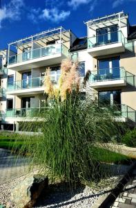 a tall building with tall grass in front of it at Portofino Apartman in Sárvár
