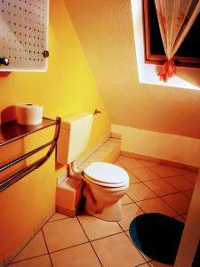 a bathroom with a toilet in a yellow room at Home Nicoletta in Spechtsbrunn