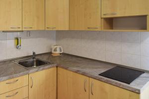 Kuchyňa alebo kuchynka v ubytovaní Apartman Veronika