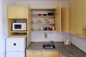 Kuchyňa alebo kuchynka v ubytovaní Apartman Veronika