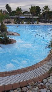uma grande piscina com água azul e palmeiras em Sables du midi 2 em Sérignan
