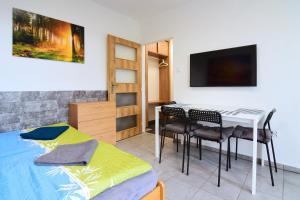 sypialnia z łóżkiem, stołem i krzesłami w obiekcie Apartman Nikola Trojanovice w mieście Trojanovice