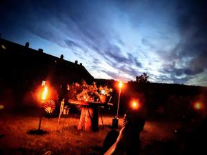 a group of people sitting around a table at night at Home Nicoletta in Spechtsbrunn