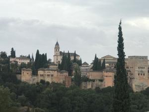 Gallery image of CUEVA EL DUENDE in Granada